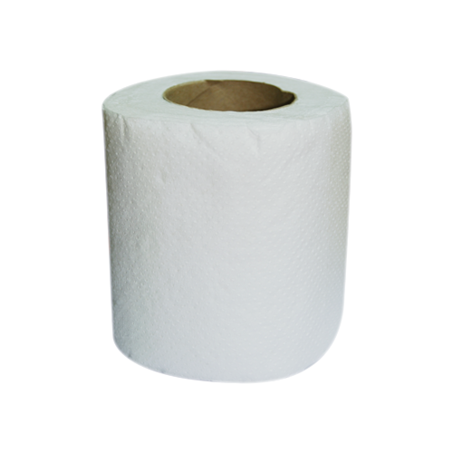 RETAIL-TPPNT143 Toilet Paper Roll Small (10 Rolls x 150 Sheets ...
